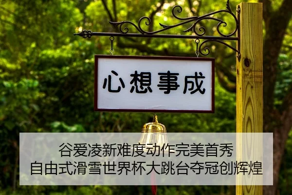 gu-ai-ling-xin-nan-du-dong-zuo-wan-mei-shou-xiu-zi-you-shi-hua-xue-shi-jie-bei-da-tiao-tai-duo-guan-chuang-hui-huang-2-364.jpg