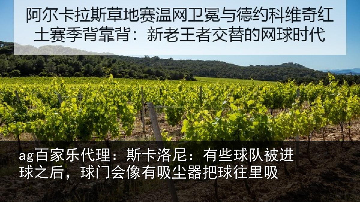 ag百家乐代理:斯卡相关情况球之相关情况器把球往里吸