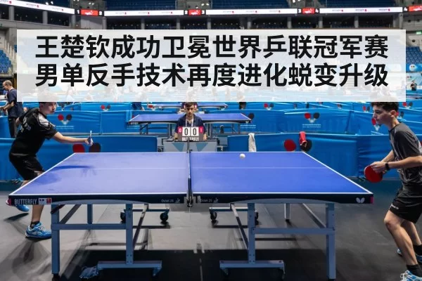 table tennis competition