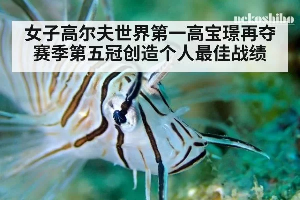 女子高尔夫世界第一高宝璟再夺赛季第五冠创造个人最佳战绩