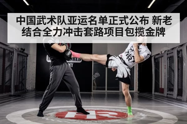 中国武术队亚运名单正式公布 新老结合全力冲击套路项目包揽金牌