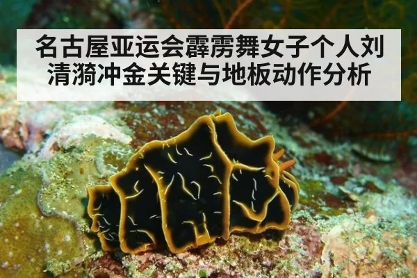 名古屋亚运会霹雳舞女子个人刘清漪冲金关键与地板动作分析